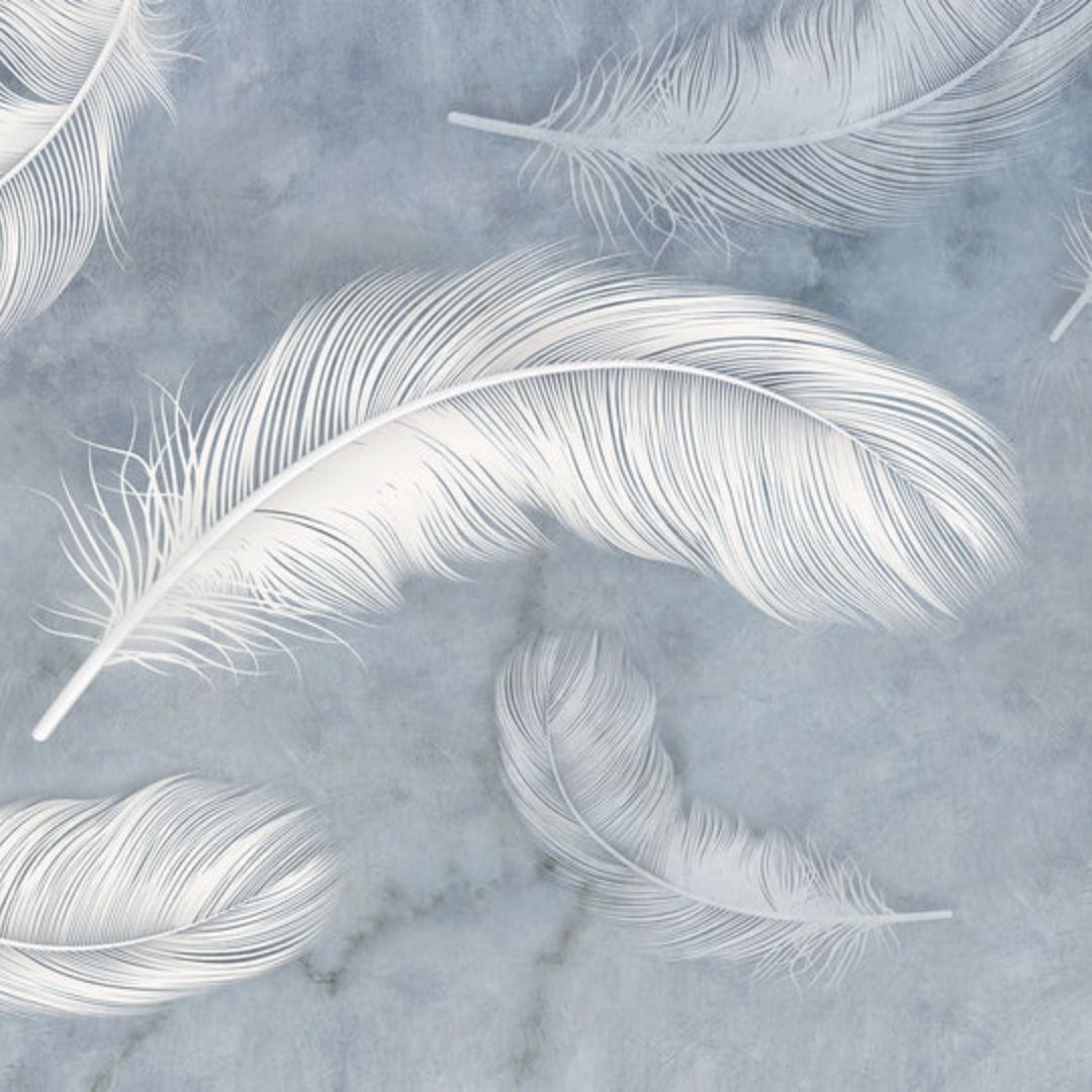 White Feather Wallpaper