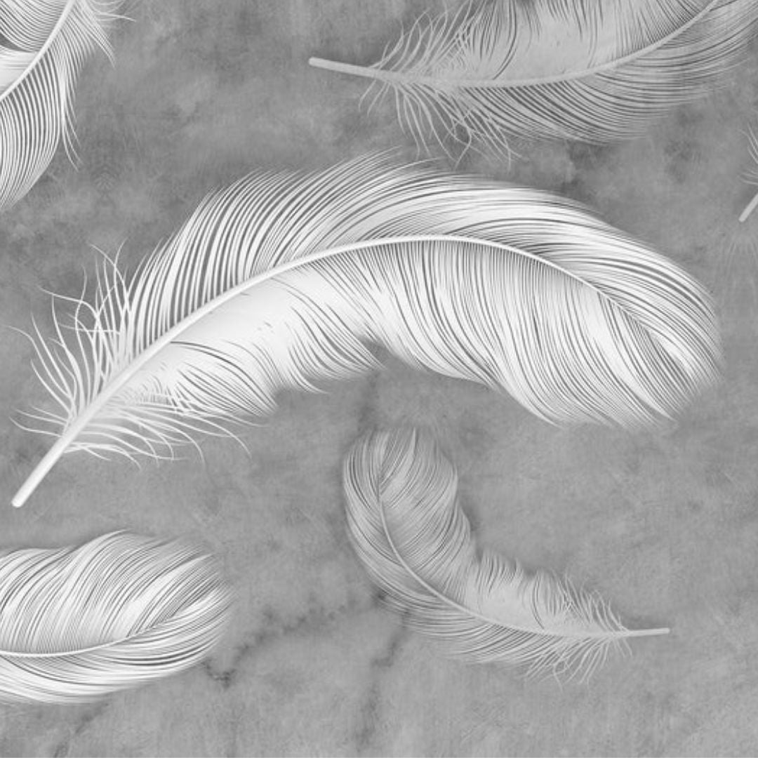 White Feather Wallpaper