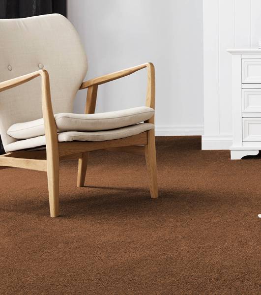 Copper Silky Plus Wall To Wall Carpet