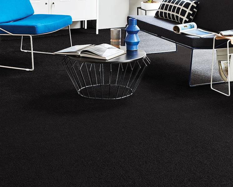 Silky Plus Black Wall To Wall Carpet