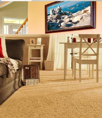 Pari Plus Gold Wall To Wall Carpet