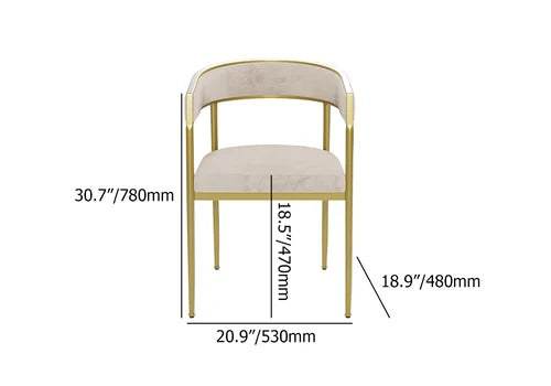 Modern Velvet Dining Chair (Set of 2)