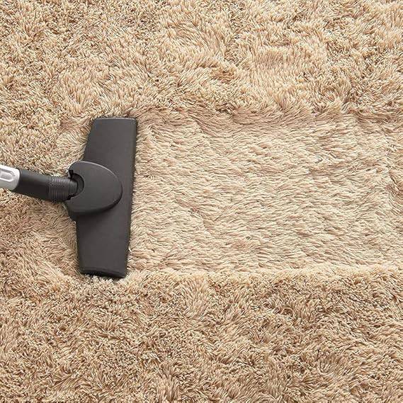 Luxurious Shag Area Rugs