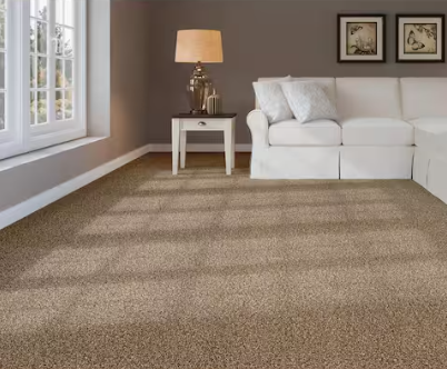 Silky Plus Beige Wall To Wall Carpet