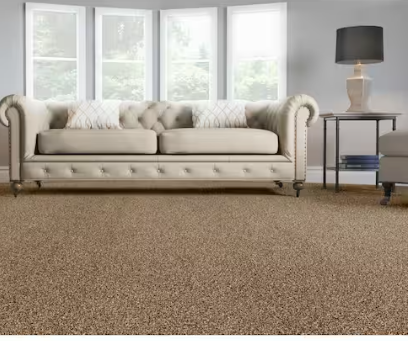 Silky Plus Beige Wall To Wall Carpet