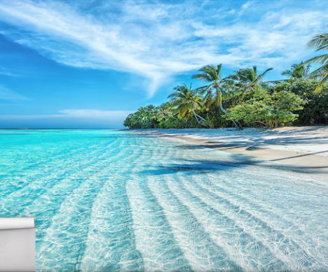Tropical Ocean 3D Wallpaper