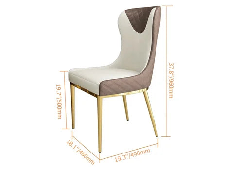 Modern Design Dining Chair (Set of 2)