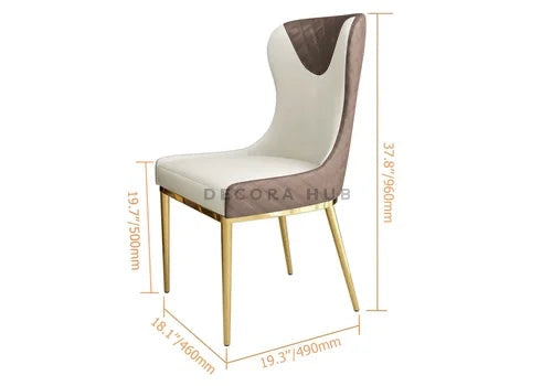 Modern Design Dining Chair (Set of 2)