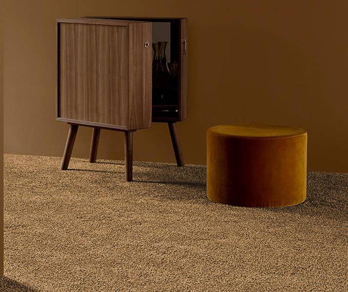 Pari Plus Brown Wall To Wall Carpet