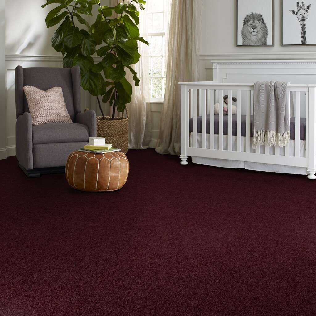 Pari Plus Maroon Wall To Wall Carpet