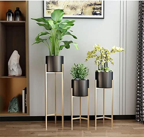 Luxury Indoor Planters