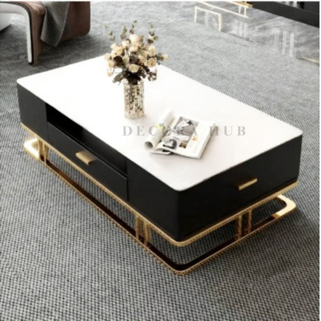 Premium 47x24 Inch Center Table with Golden Stainless Steel Frame & PU Finish