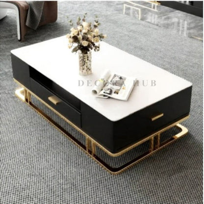 Premium 47x24 Inch Center Table with Golden Stainless Steel Frame & PU Finish