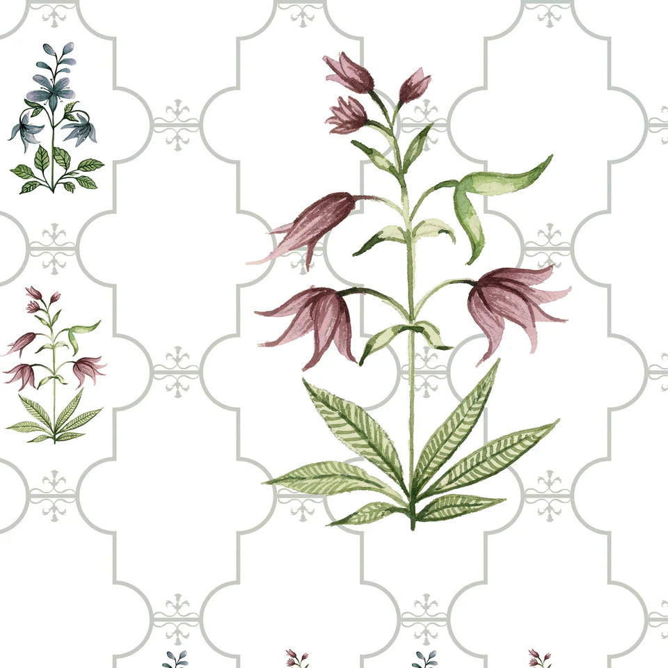 Floral Design With Botanical Illustrations Wallpaper