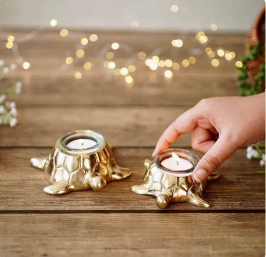 Metal Pair of Turtle in Golden Colour Set of 2