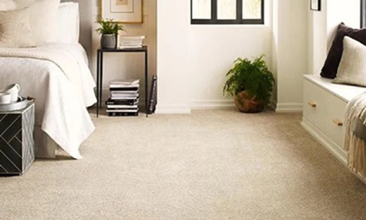 Feather Creamy Beige Wall To Wall carpet