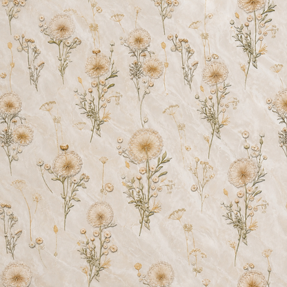 Ivory Dried Dandelion Wildflower Wallpaper - close-up