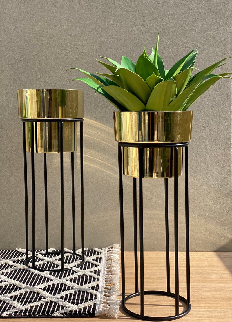 Luxurious Golden Indoor Planter