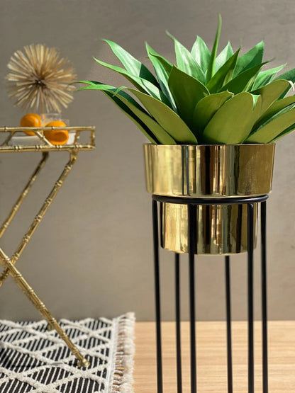 Luxurious Golden Indoor Planter