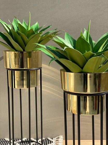 Luxurious Golden Indoor Planter